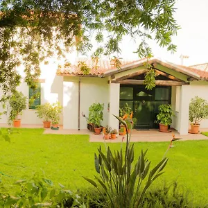 Homestay Aurora, Olbia